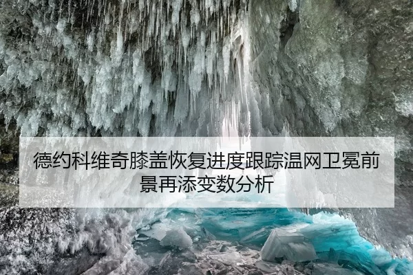 德约科维奇膝盖恢复进度跟踪温网卫冕前景再添变数分析