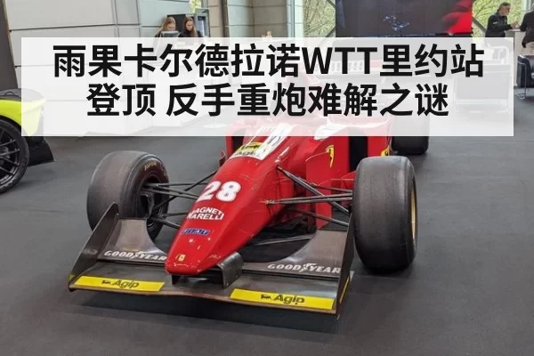 雨果卡尔德拉诺WTT里约站登顶 反手重炮难解之谜 | jiuyou