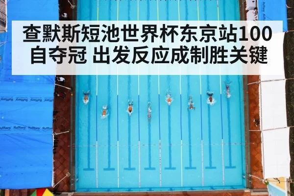 swimming race pool